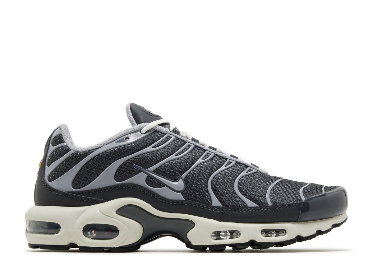 Air Max Plus SE Iron Grey